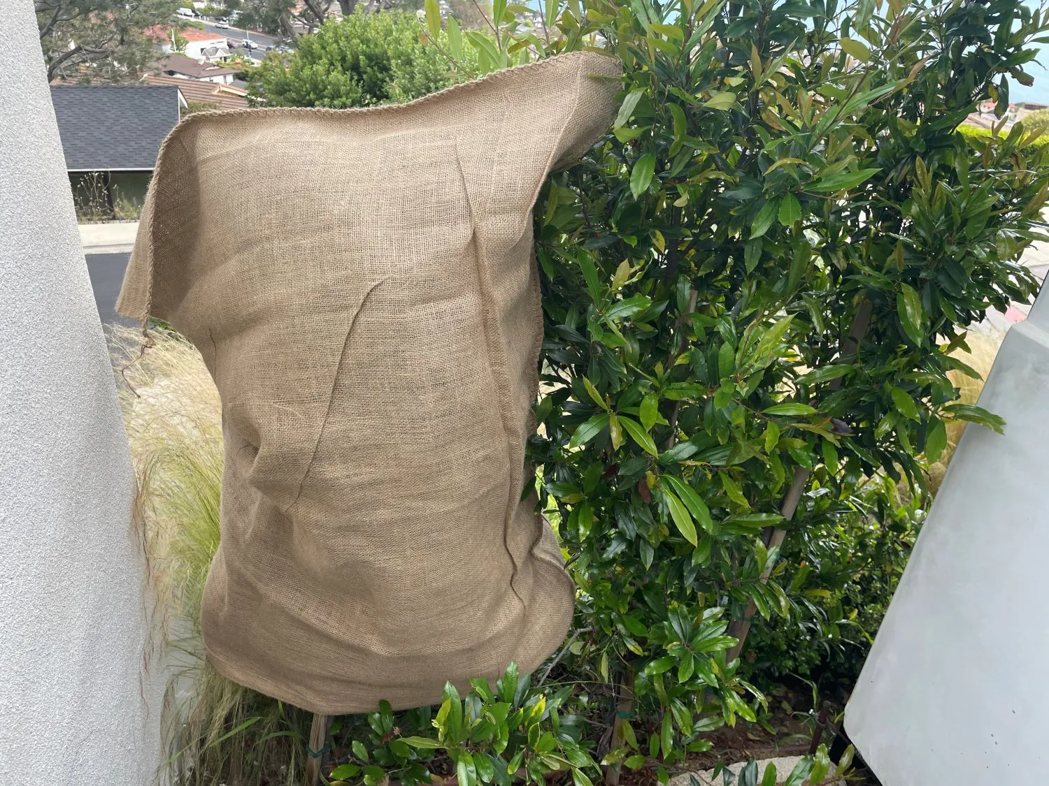 36" x 48" Extra Large Burlap Bags (200 Lb Capacity) - Food Grade