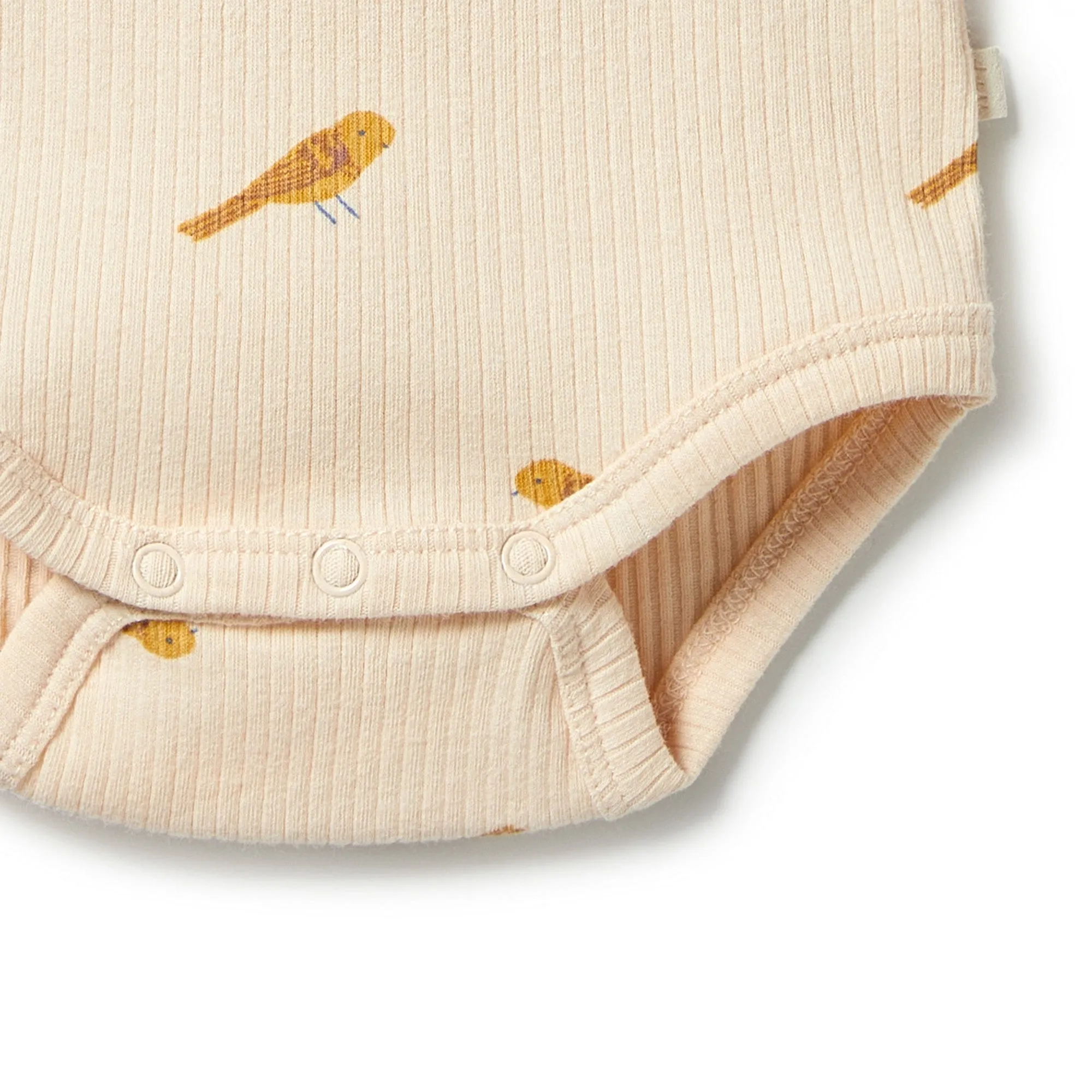 Wilson and Frenchy Organic Rib Envelope Bodysuit - Tweet Tweet